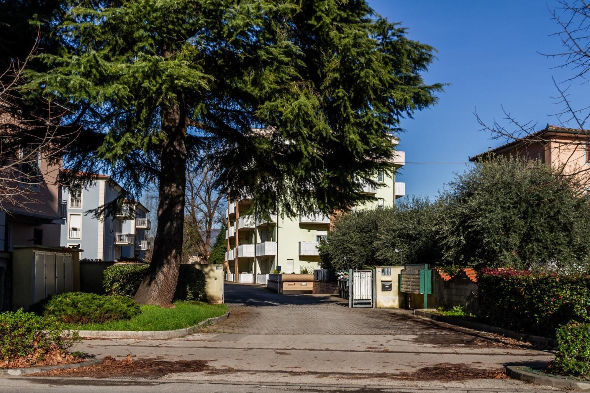 Il Cedro-15 Min Dalle Mura Wi-fi Private Parking